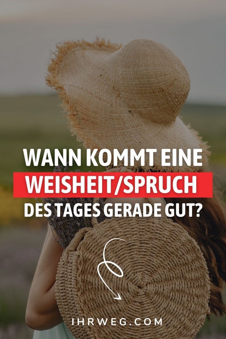 Weisheit des Tages 365 kluge Sprüche für jeden Tag des Jahres