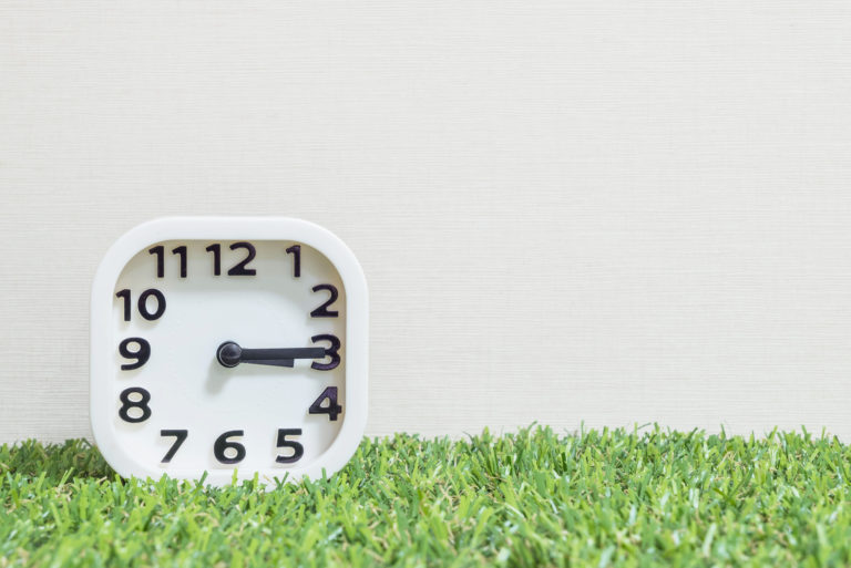 weiße Uhr auf grünem Gras