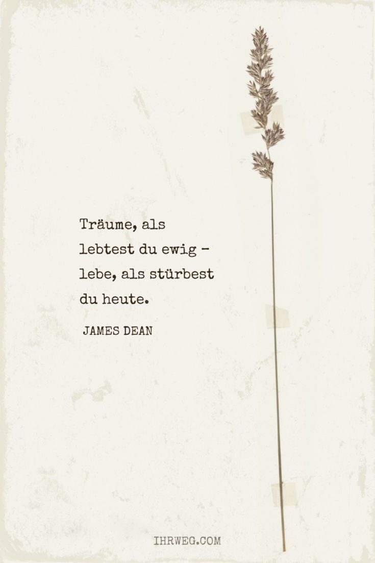 James Dean's Spruch über das Leben: Träume, als lebtest du ewig – lebe, als stürbest du heute.
