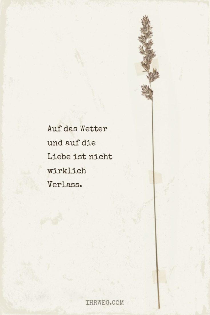 weise Worte über das Verlassen auf das Wetter und die Liebe