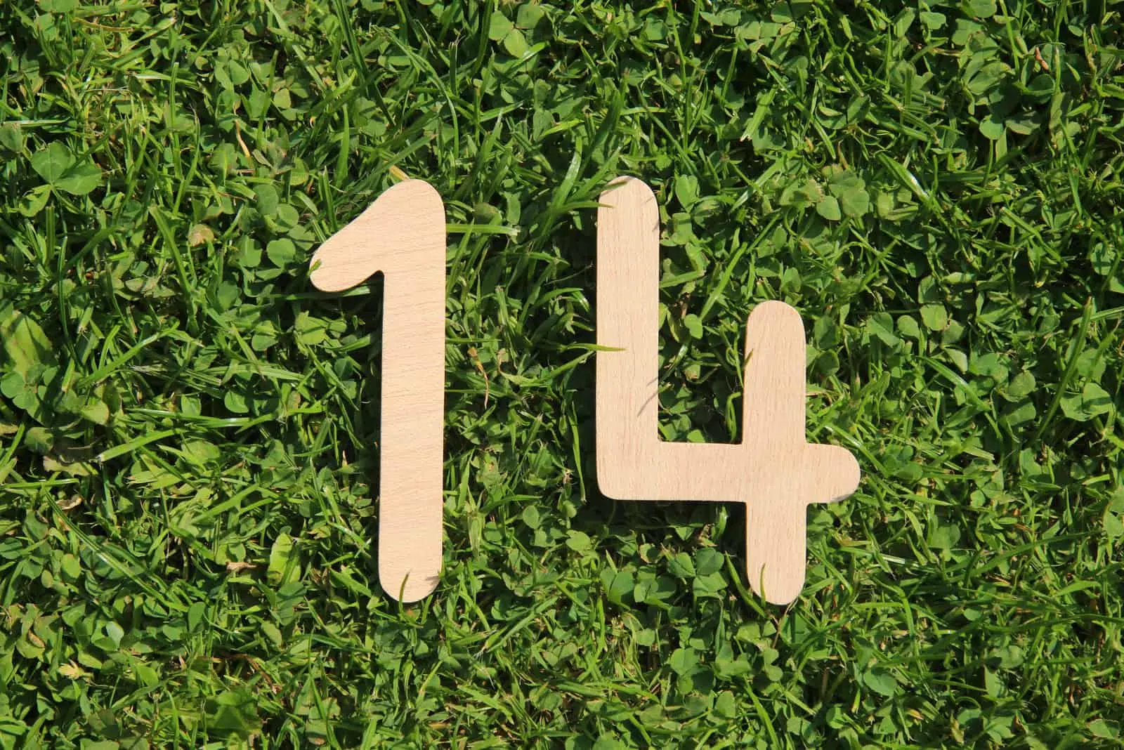 Nummer 14 auf dem Rasen