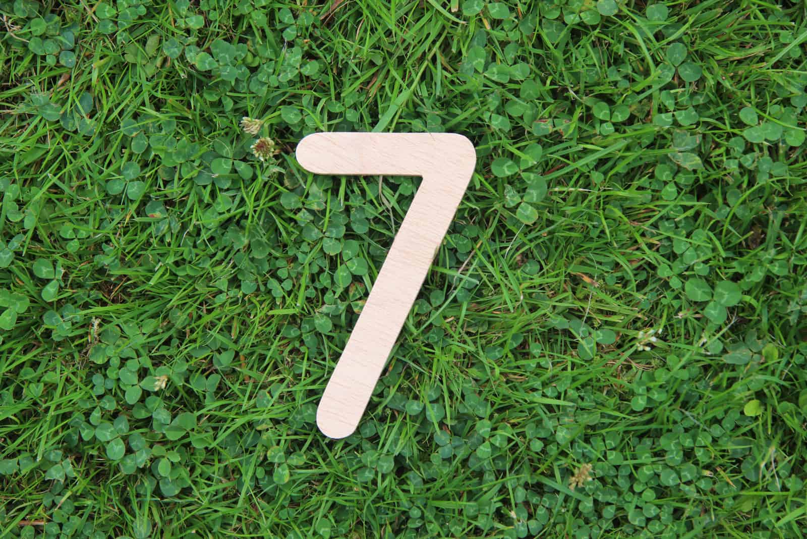 Nummer 7 auf grünem Gras