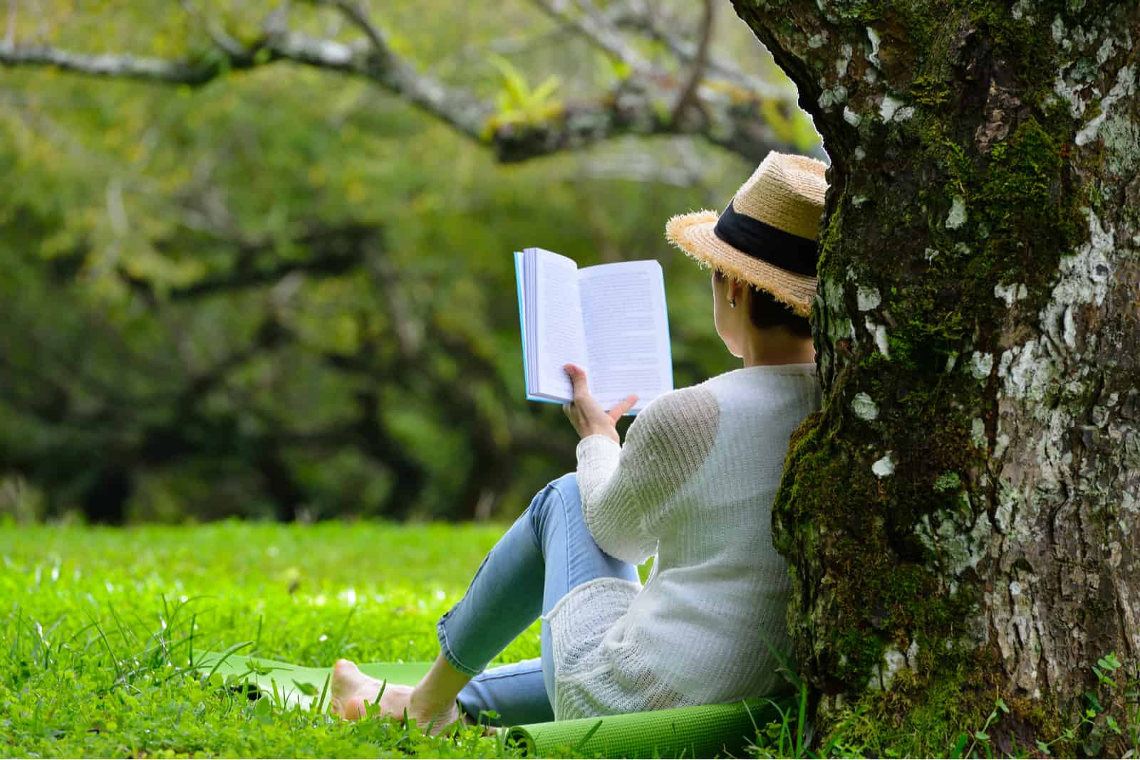 Frau sitzt am Baum und liest ein Buch