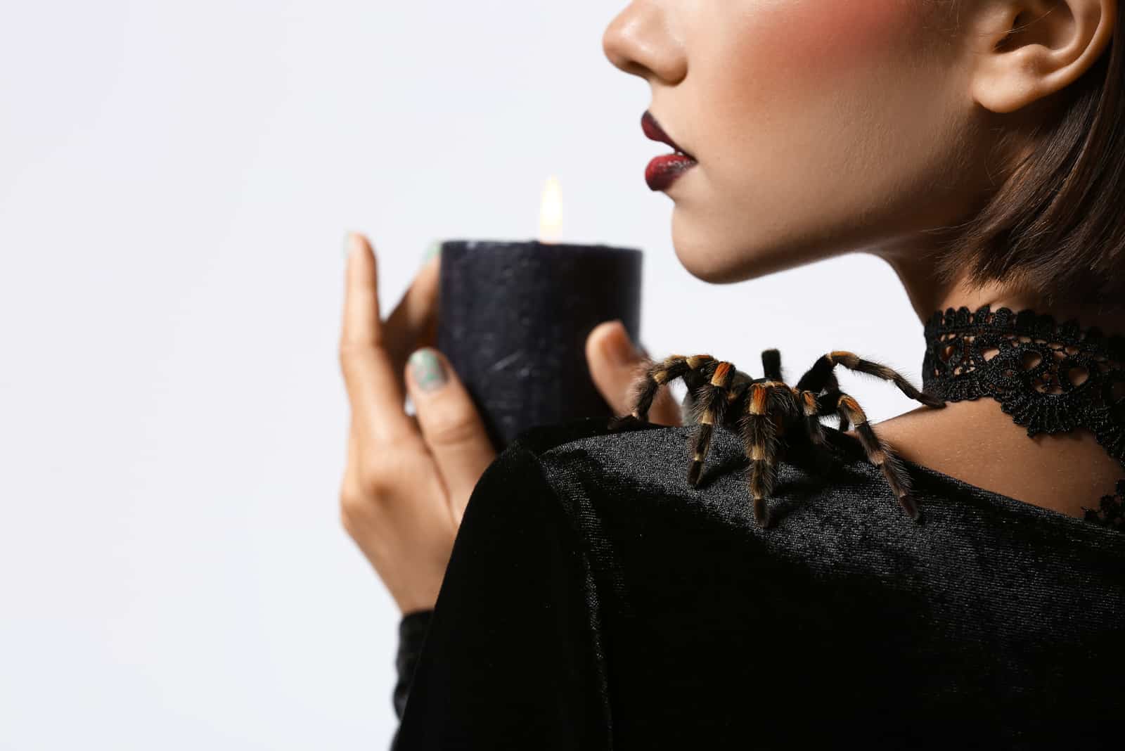 Traumdeutung Spinne: Webt das kleine Tier nur Pechsträhnen?