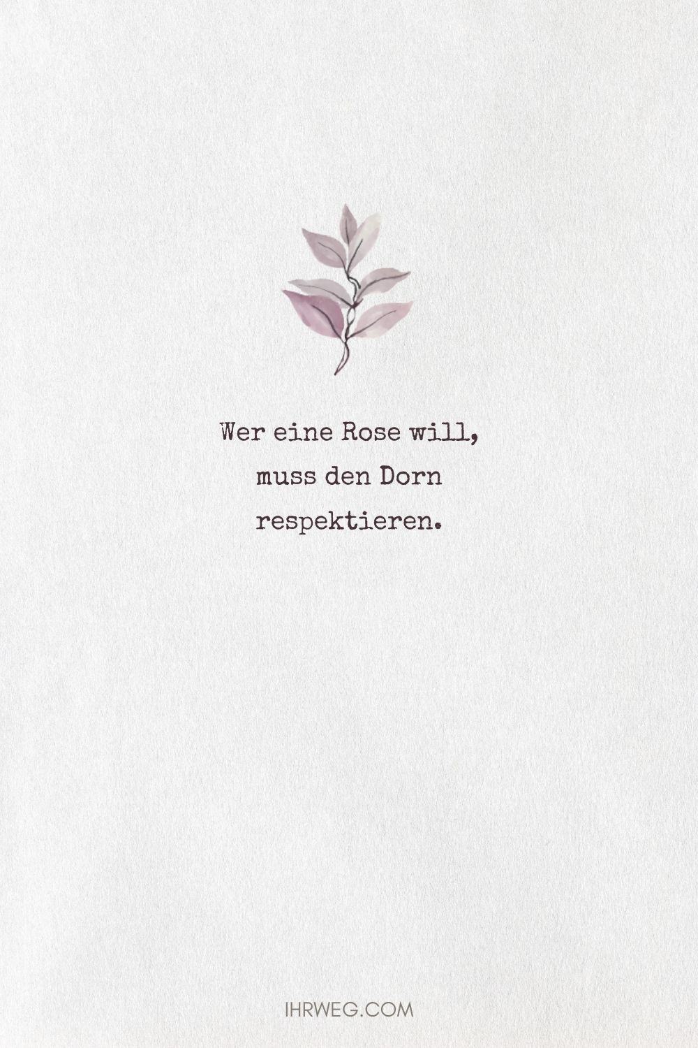 Wer eine Rose will, muss den Dorn respektieren