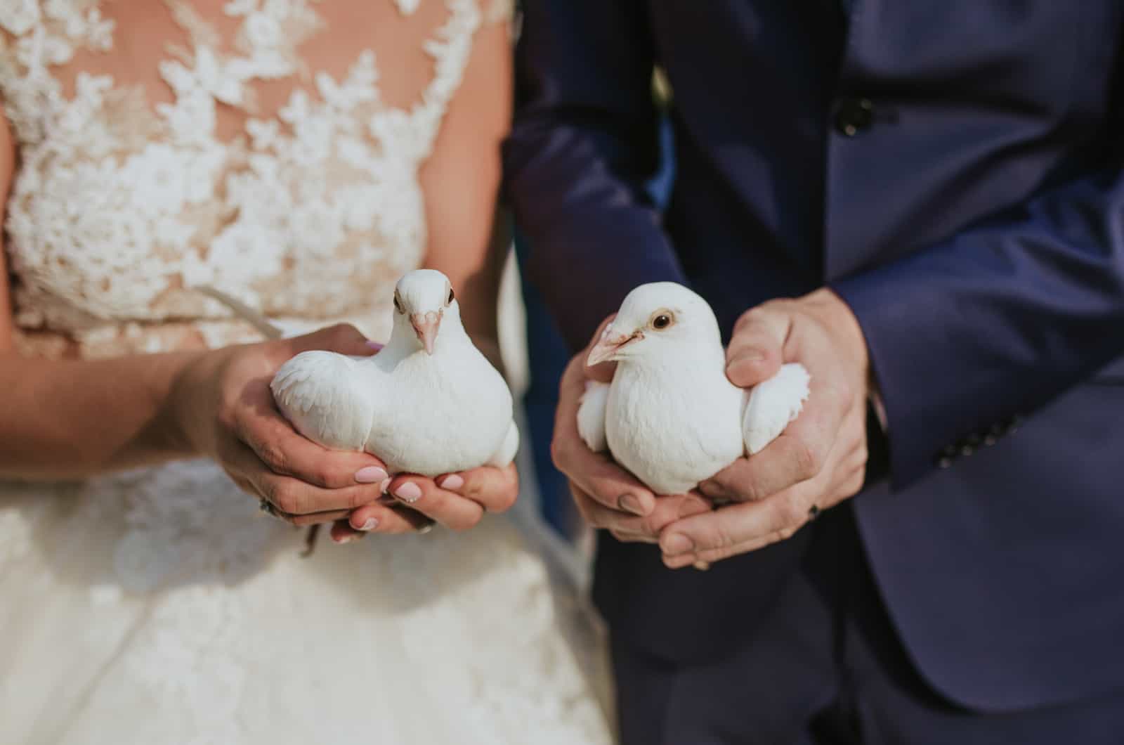Hochzeitspaar mit Tauben