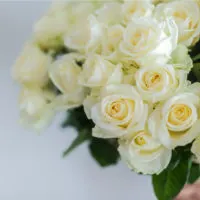 frische Rosen auf weißem Tisch