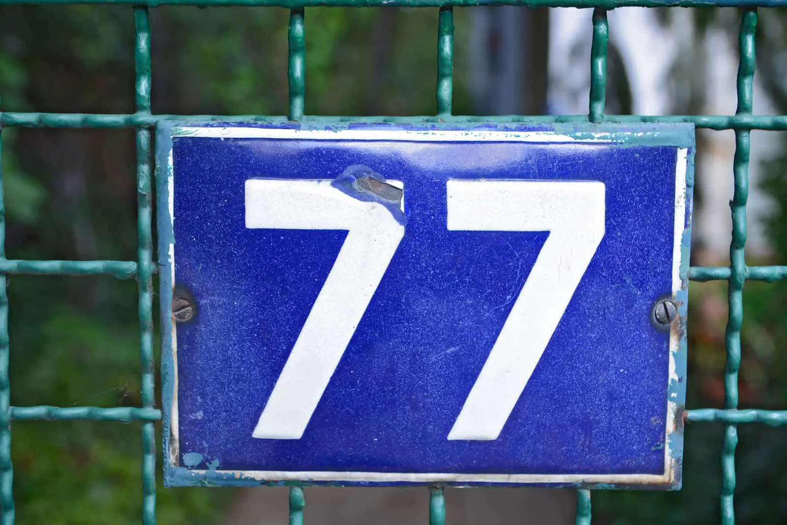 blaue Hausnummer 77 am Zaun