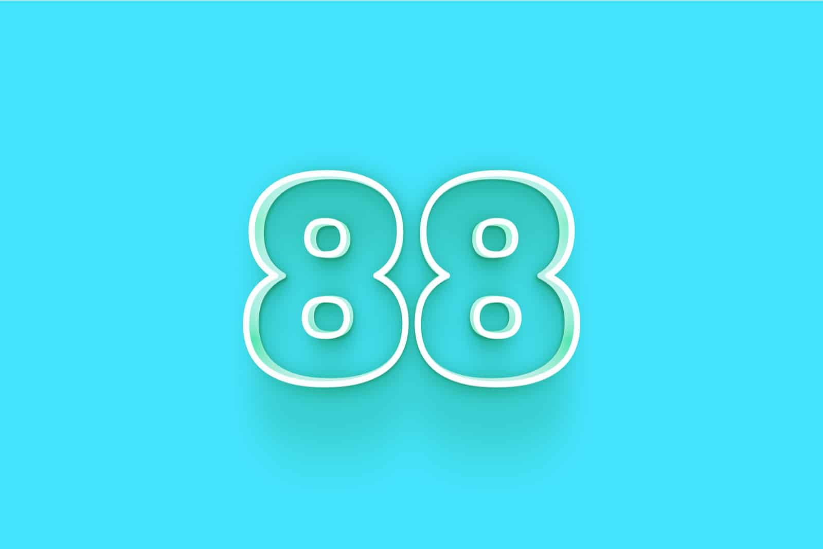 weiße Nummer 88 auf blauem Hintergrund