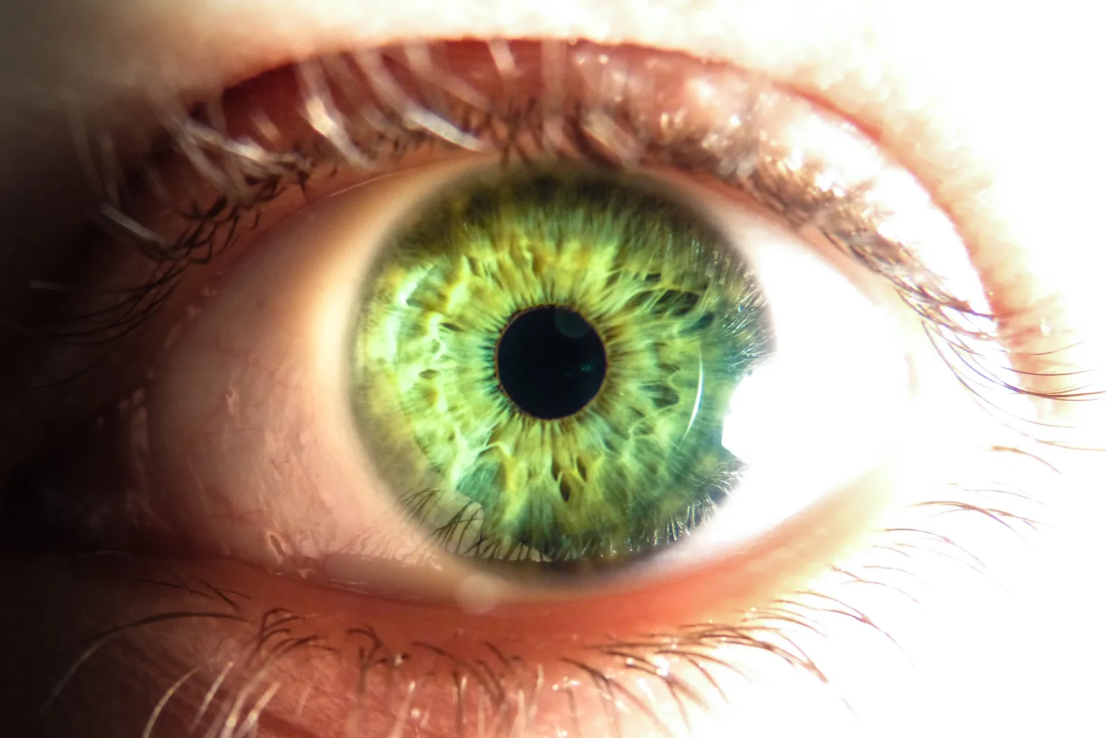 Nahaufnahme des grünen menschlichen Auges