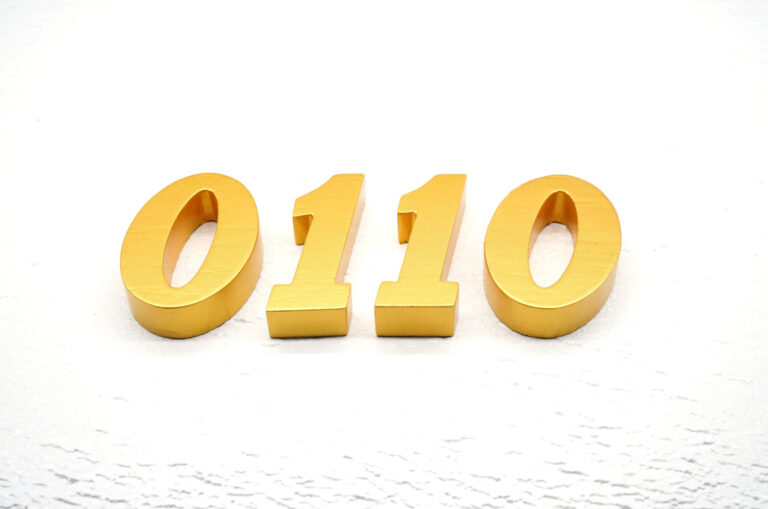 Zahl 0110