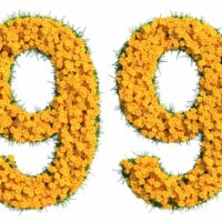 3D-Darstellung der Zahl 99 aus schöner gelber Blume