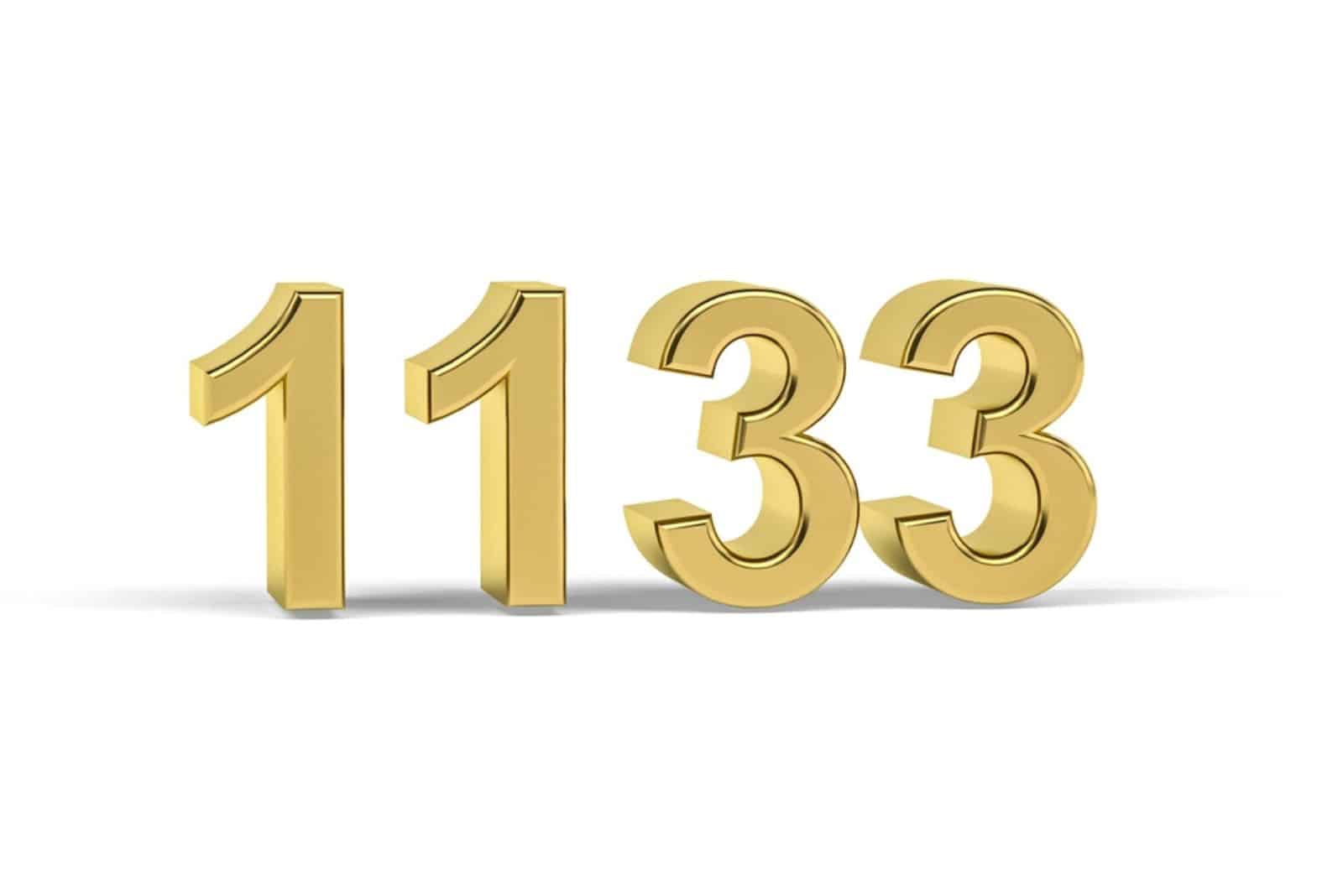 Schlage mit der Bedeutung der Zahl 1133 neue Wege ein