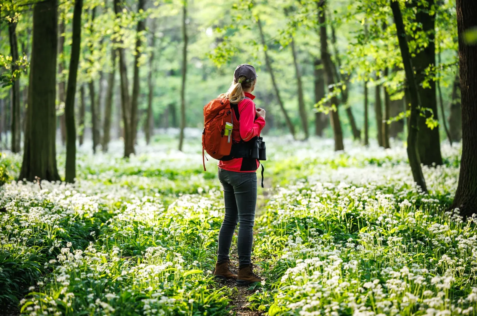 Frau geht im Wald spazieren