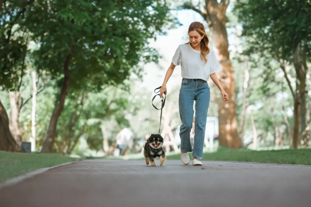 laechelndes Maedchen mit Hund