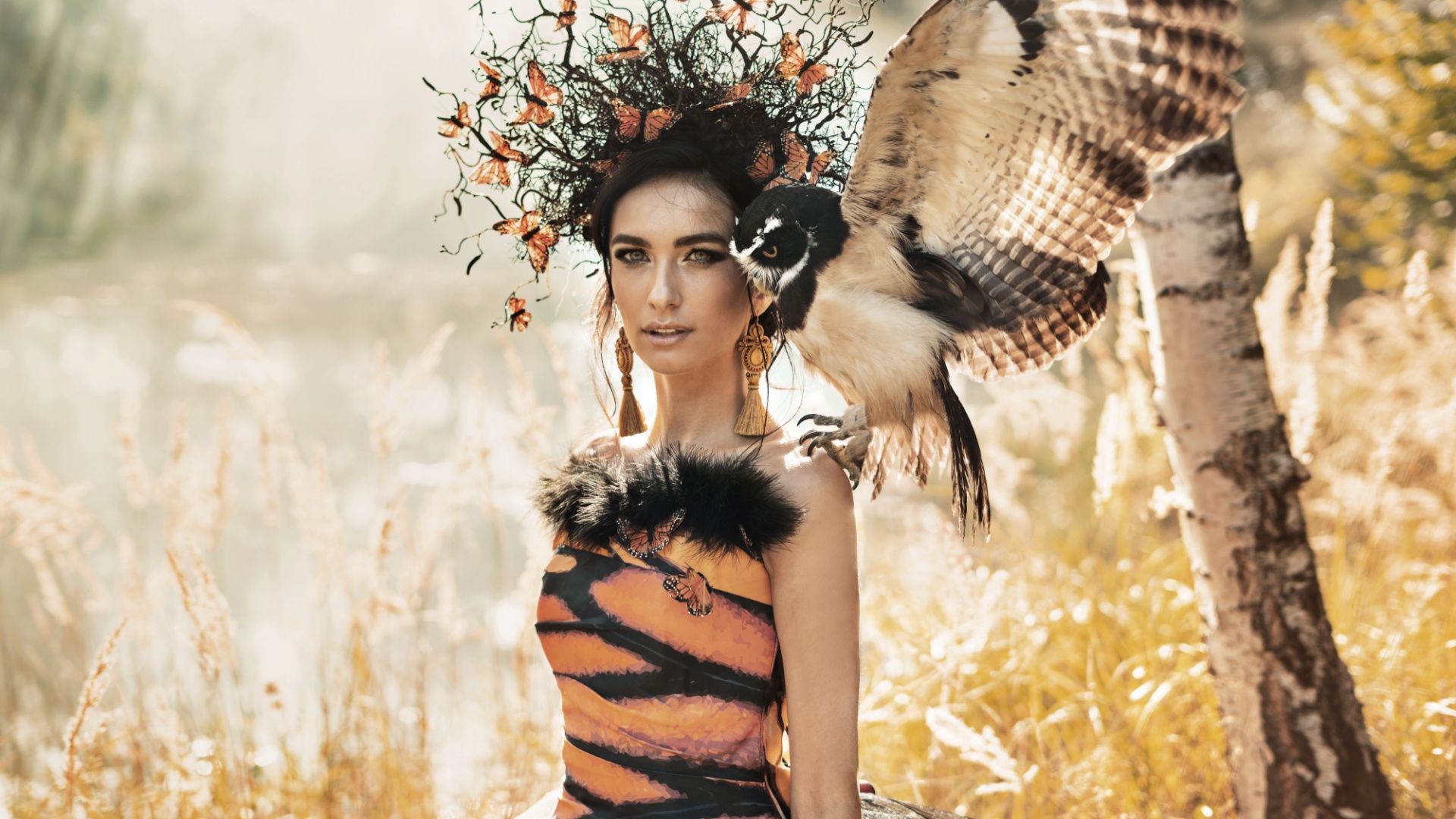 Welches Krafttier steckt in dir Mach den Test