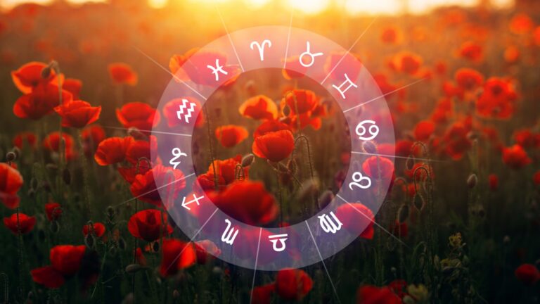 zodiac sternzeichen blumen