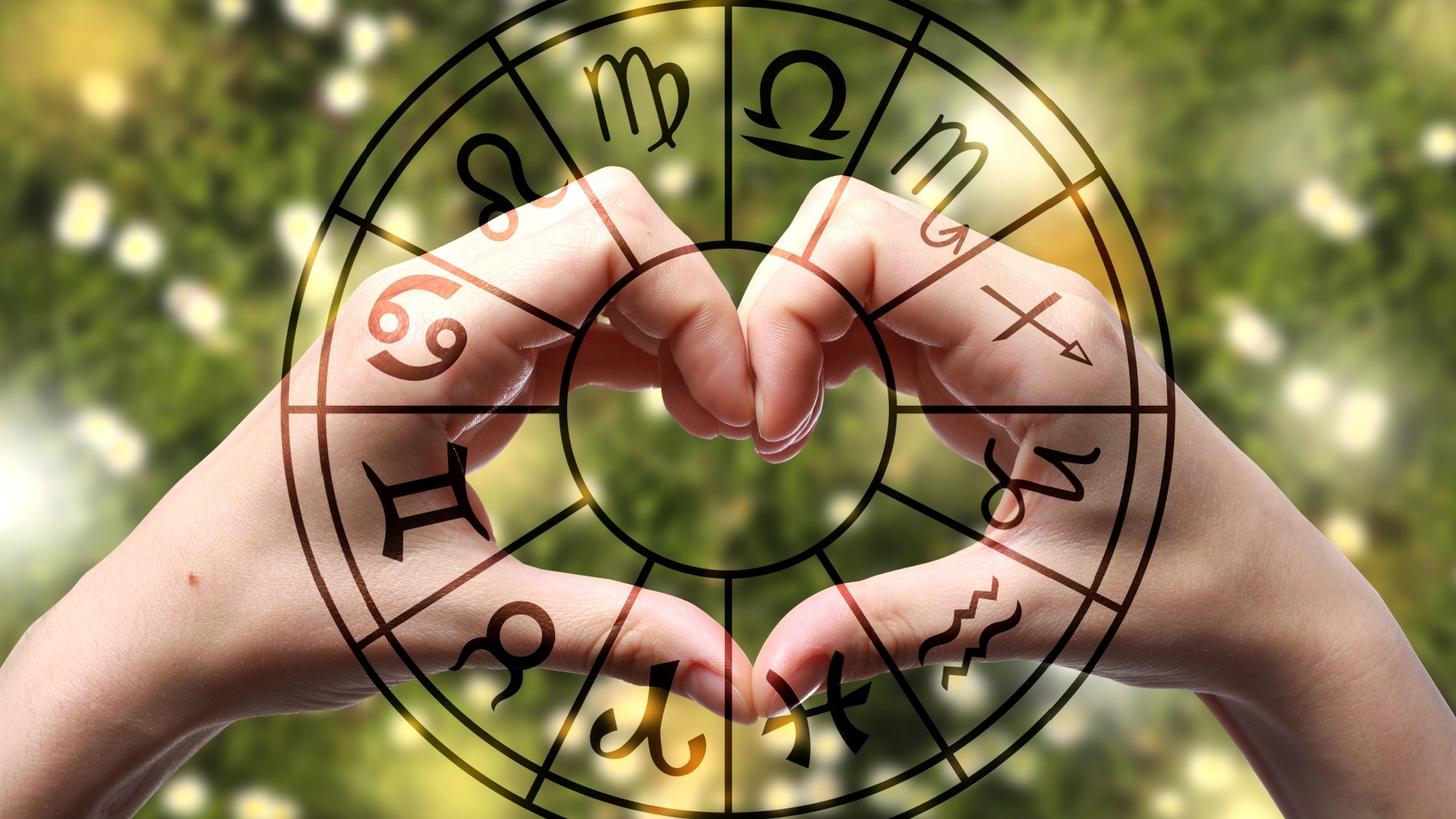 liebe horoskop